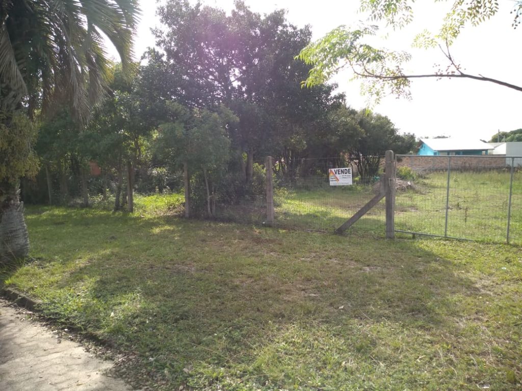 31 Venda – Terreno